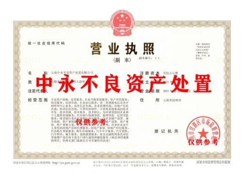 不良資產(chǎn)處置公司可以經(jīng)營(yíng)哪些項(xiàng)目